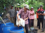 Petani Trenggalek Olah Urine Kelinci Jadi Pupuk Organik Cair