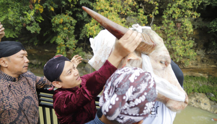 Larung Kepala Kerbau, Nyadran Tahunan di Trenggalek