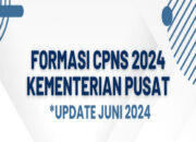 Penerimaan CPNS 2024