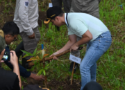 Kebun Bambu Dukung Net Zero Karbon Trenggalek