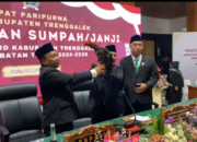 Unik, Pelantikan Anggota DPRD Trenggalek Dikado Ayam Jago