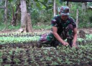Langkah Pasti Babinsa Trenggalek Cegah Bencana