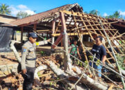 Pohon Beringin Ambruk Timpa Kios Pasar di Panggul