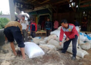 Kaya Akan Hara, Ini Manfaat Pupuk Bokashi