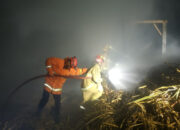 Penggilingan Tebu di Trenggalek Terbakar, Diduga Api Tungku Belum Padam