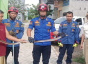 Ular Sepanjang 2 Meter Hebohkan Warga Trenggalek