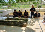 Relawan Kotak Kosong Trenggalek Gelar Ziarah Makam, Kenang Pemimpin Terdahulu Mencintai Rakyatnya