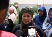 Luluk Dorong Pembangunan Ekosistem Budidaya Lobster Berkualitas