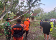 Hujan Disertai Angin, Empat Rumah Warga Karangan Tertimpa Pohon