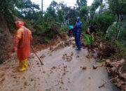 Sebulan Ada 115 Kejadian Bencana Alam Melanda Kabupaten Trenggalek