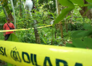 Pembuang Bayi Sempat Diketahui, Diduga Warga Luar Desa Ngrayung Trenggalek