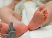 Dinsos Dorong Ungkap Pelaku Pembuang Bayi di Trenggalek Agar Tak Terulang