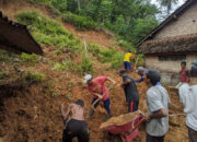Tebing 20 Meter Timpa Dua Rumah Warga Trenggalek