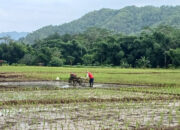 Dinas Pertanian Trenggalek Dorong Optimalisasi Alat Pertanian Jelang Musim Tanam