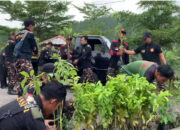 Aliansi Rakyat Trenggalek Tebar 1.000 Bibit Tanaman di Dua Kecamatan