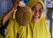 Mitos Atau Fakta Mabuk Durian, Benarkah Bisa Memicu Pusing dan Begah