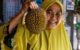 Mitos atau Fakta Mabuk Durian
