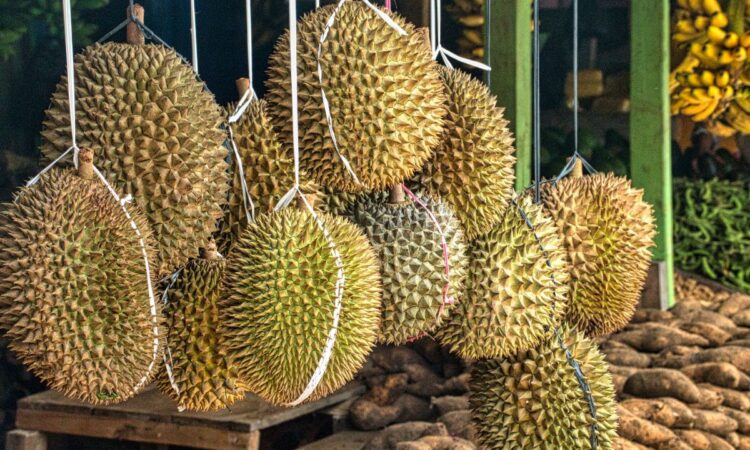 Buah Durian Halal