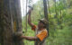 Petani saat melakukan sadap pinus di hutan produksi Trenggalek.