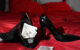 Lokasi PSK di Jawa Barat menempati urutan teratas.