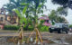 Kondisi jalan rusak di desa Wonoanti