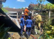 Dapur dan Kandang Ternak di Trenggalek Terbakar, Kerugian Jutaan Rupiah