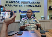 Fakta Lengkap Terbitnya 41 Sertifikat Hak Milik di Pantai Konang Trenggalek