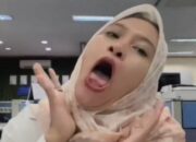 Hina Honorer Berobat Pakai BPJS Kesehatan Pegawai PT Timah Akhirnya Dipecat