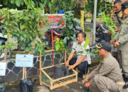 Unik, Ucapan Selamat Pelantikan Bupati dan Wabup Trenggalek Berupa Bibit Tanaman
