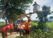 Musim Penghujan, BPBD Trenggalek Pangkas Ranting Pohon Rawan Roboh