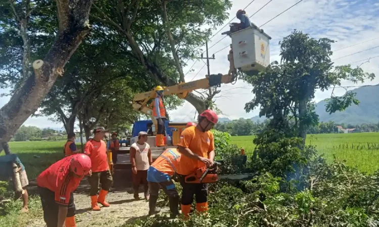 Musim Penghujan, BPBD Trenggalek Pangkas Ranting Pohon Rawan Roboh