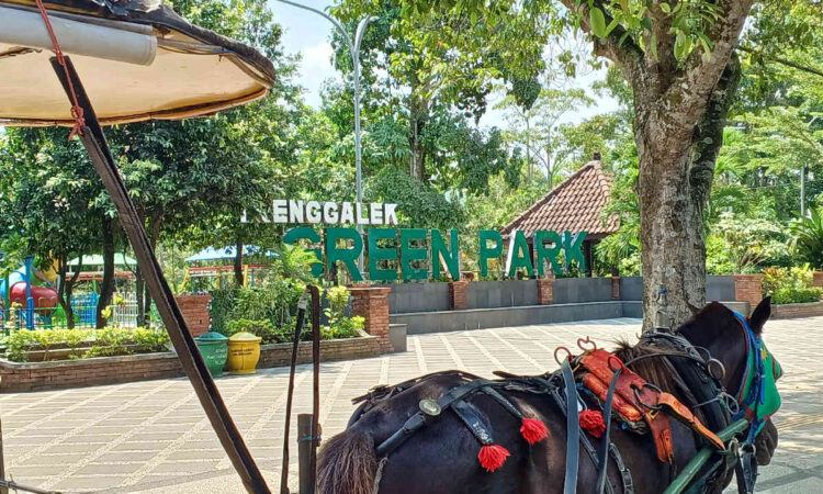 5 Spot Ngabuburit di Trenggalek dengan Suguhan Keindahan Alam