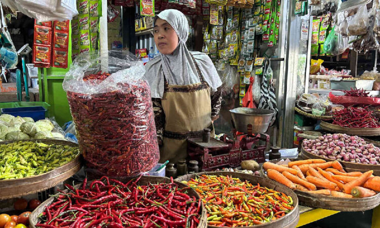Harga Cabai Rawit Melonjak, Warga Trenggalek Beralih ke Cabai Kering Impor