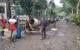 Jalan Desa Ngadimulyo Trenggalek