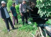 Sopir Ngantuk, Mobil di Trenggalek Terjun ke Sungai Sedalam 3 meter