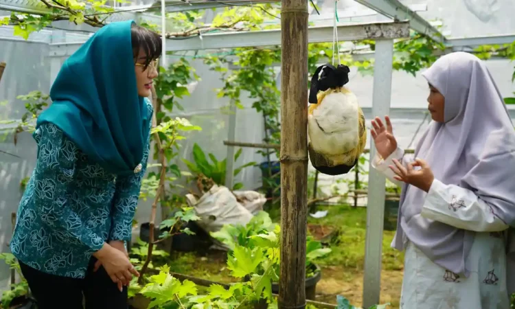 Mengintip Usaha Ketua TP PKK Trenggalek Dorong Kemandirian Pangan