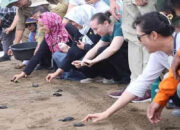 Potensi Ekonomi dan Ekologi Kehutanan Pantai Kili-Kili Panggul Trenggalek