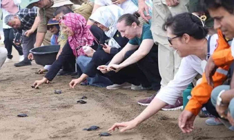 Potensi Ekonomi dan Ekologi Kehutanan Pantai Kili-Kili Panggul Trenggalek
