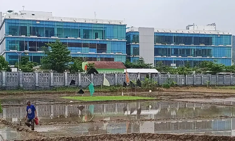 RSUD dr Soedomo Trenggalek