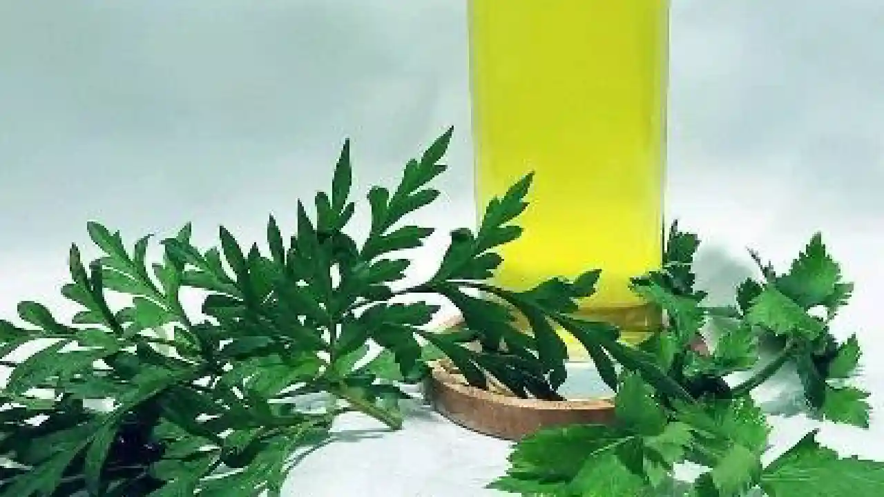Ramuan selikir, seledri dan kenikir