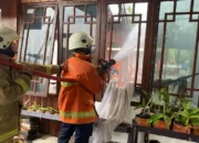 Rumah Terbakar di Trenggalek Diduga Akibat Korsleting Listrik, Kerugian Capai 500 juta