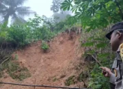 Satu Rumah Rusak Akibat Longsor di Pule Trenggalek, Warga Diimbau Waspada