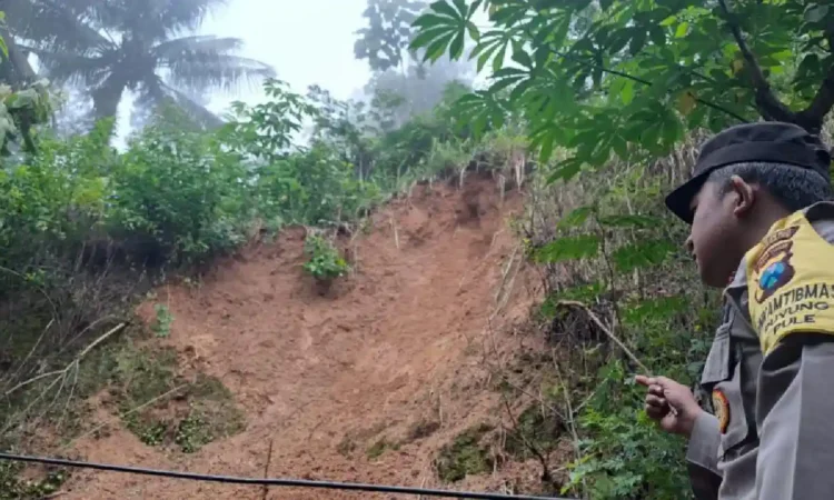Satu Rumah Rusak Akibat Longsor di Pule Trenggalek, Warga Diimbau Waspada