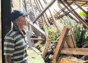 Dua Rumah Rusak Akibat Longsor di Kampak Trenggalek
