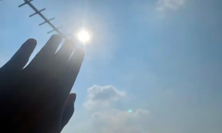 Fenomena Kemarau Basah di Trenggalek, Pakar Jelaskan Dari Pranatamangsa