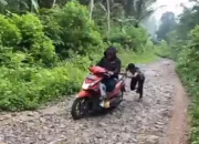 Pemkab Trenggalek Beri Jatah Infrastruktur Sebesar Rp 60 miliar di 2026