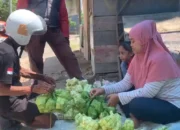 Pedagang Ketupat di Trenggalek Raup Untung Menjelang Lebaran Kupatan
