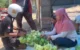 Hari Raya Ketupat Trenggalek