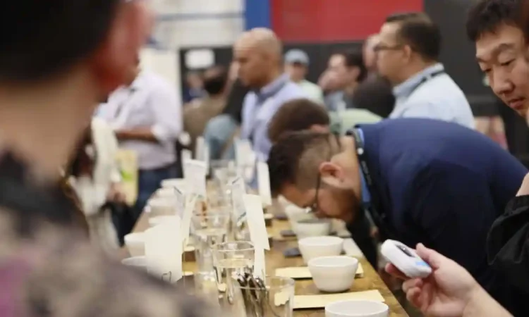 Indonesia Tampilkan Keunggulan Kopi Nusantara di Specialty Coffee Expo 2025