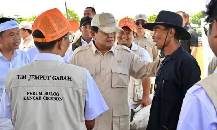Presiden Prabowo Pangkas Birokrasi Pertanian, Anggaran Langsung ke Petani